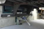 TPR® Automatic Vehicle Restraint - Image 4
