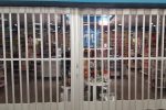 Side Folding Full Enclosure Security Grilles - 677