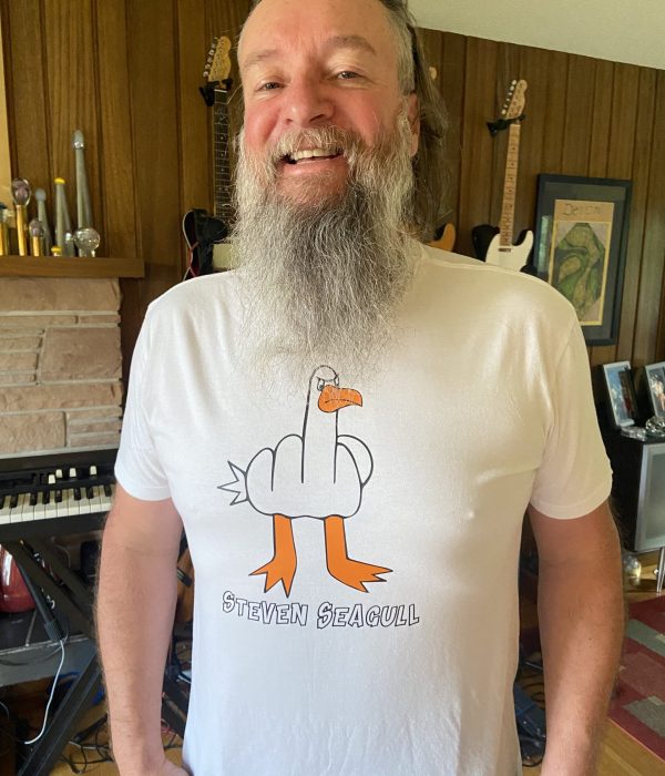 stevenseagull